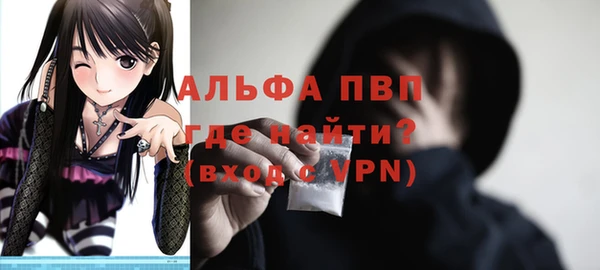 амф Богданович