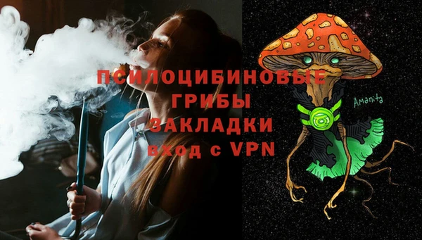 амф Богданович