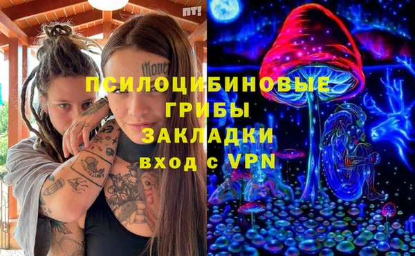 амф Богданович