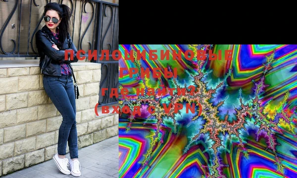 прущий лед Бородино