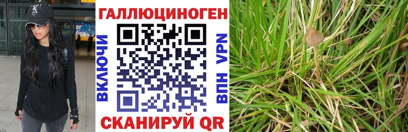 нарко площадка наркотические препараты  Карасук  Псилоцибиновые грибы прущие грибы 